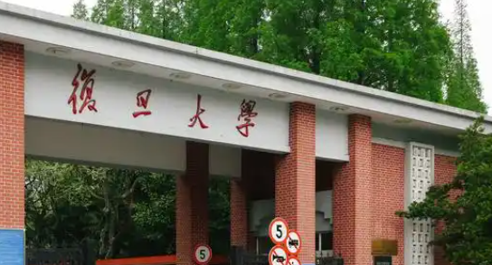 上海985，又成立母基金了